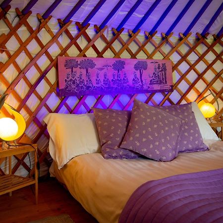 Yurte In Langa Hotell Bosia Exteriör bild